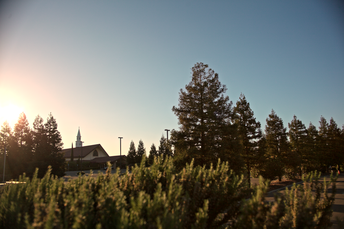 LOWRES-SCHOLHILLTP - 002