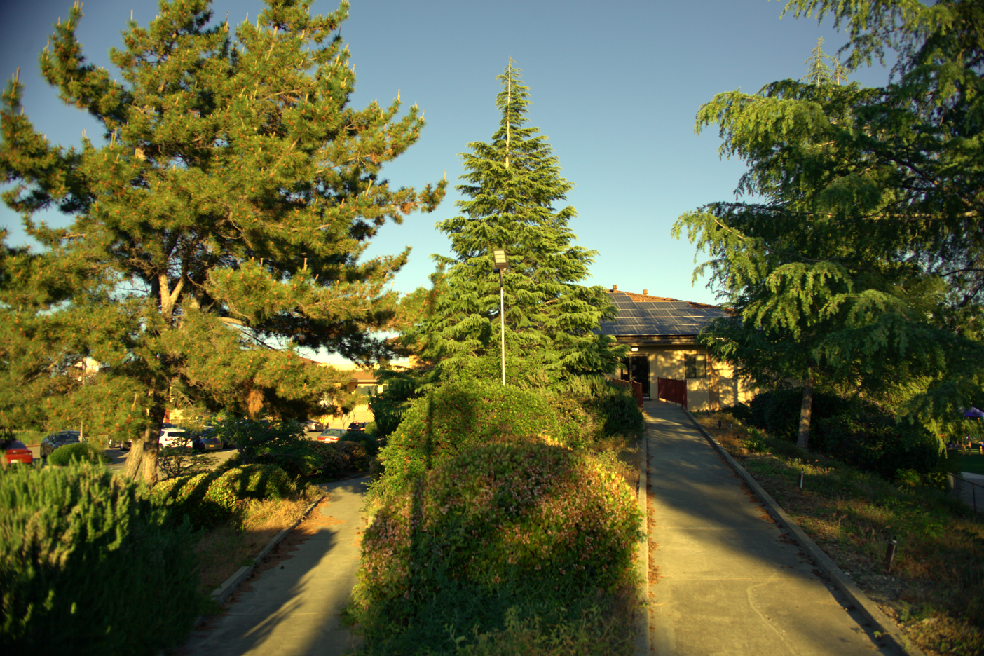 LOWRES-SCHOLHILLTP - 003