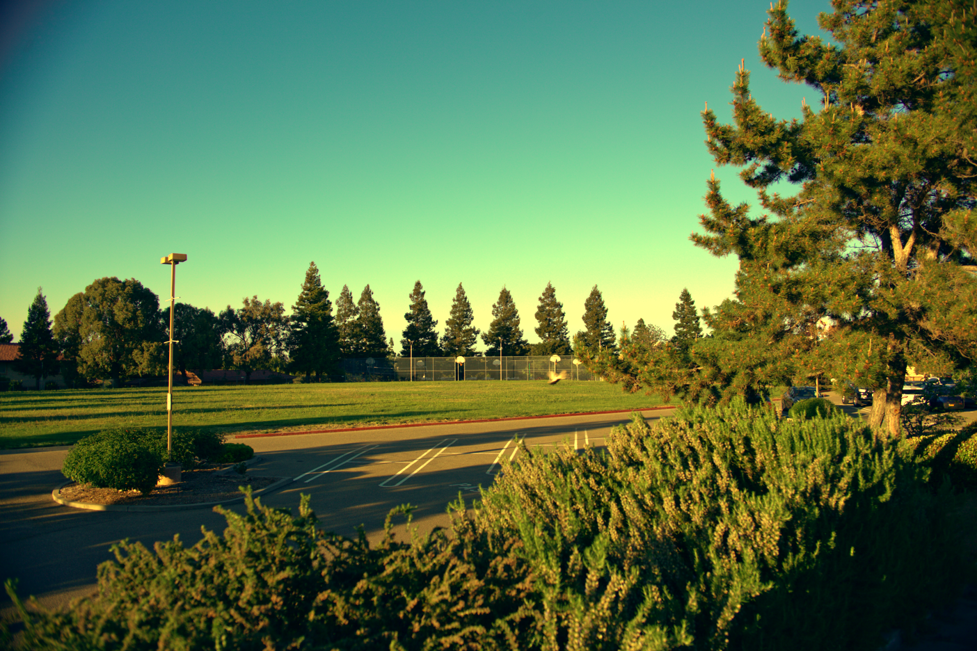 LOWRES-SCHOLHILLTP - 005