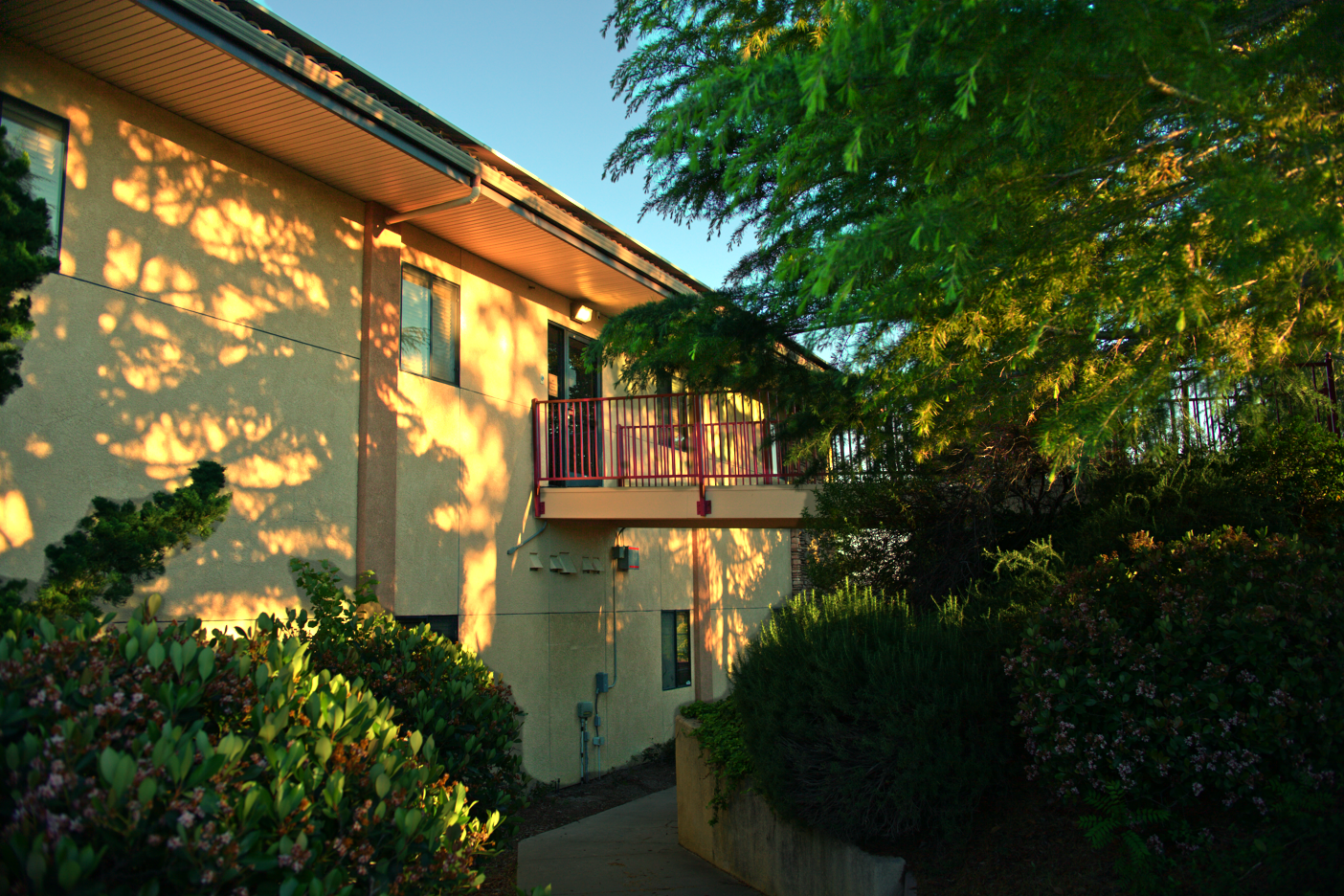 LOWRES-SCHOLHILLTP - 006