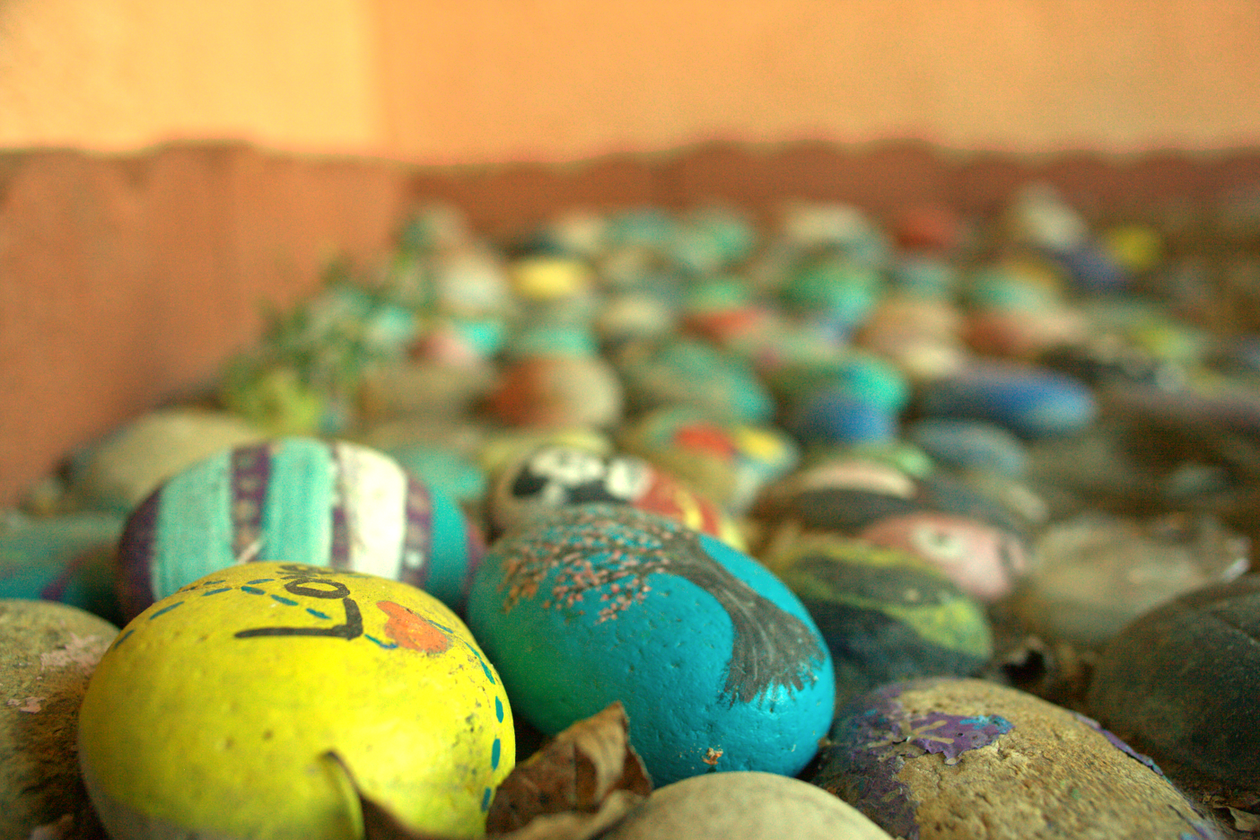 LOWRES-SCHOLHILLTP - 021