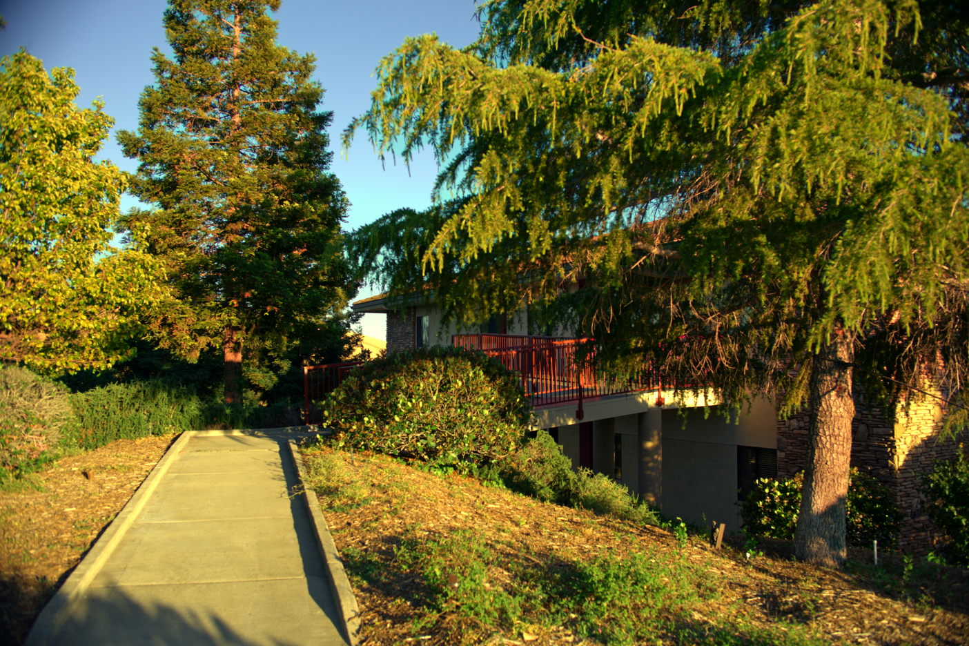 LOWRES-SCHOLHILLTP - 023