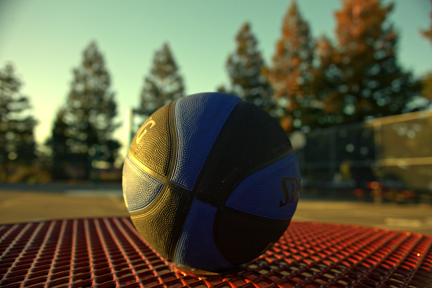 LOWRES-SCHOLHILLTP - 024