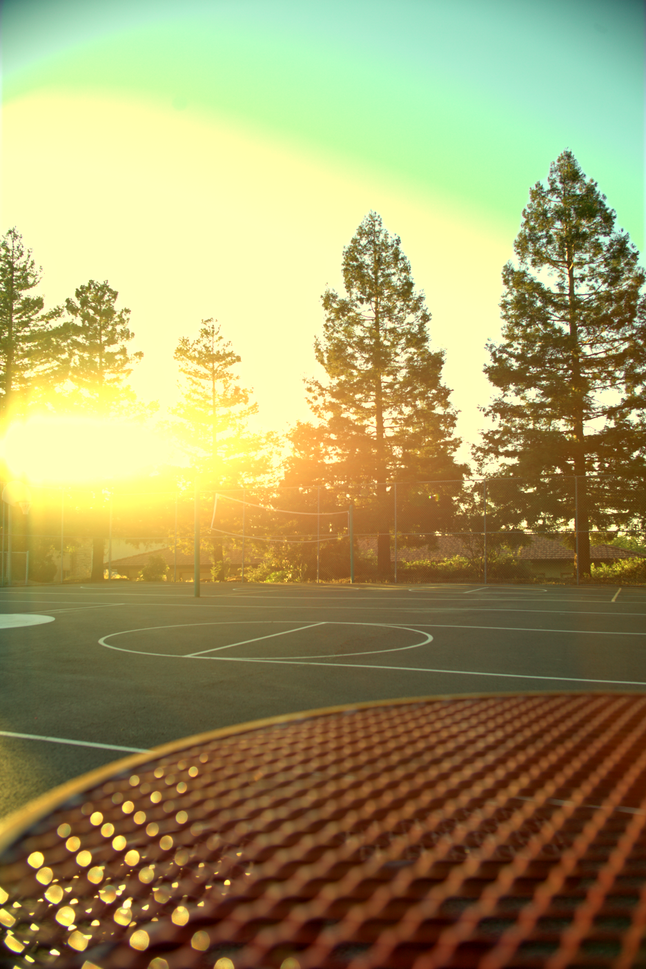 LOWRES-SCHOLHILLTP - 028