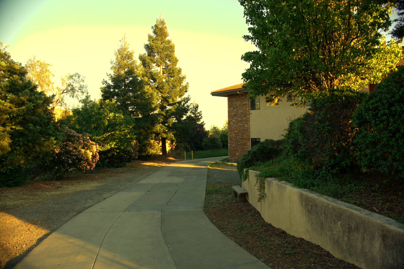 LOWRES-SCHOLHILLTP - 036