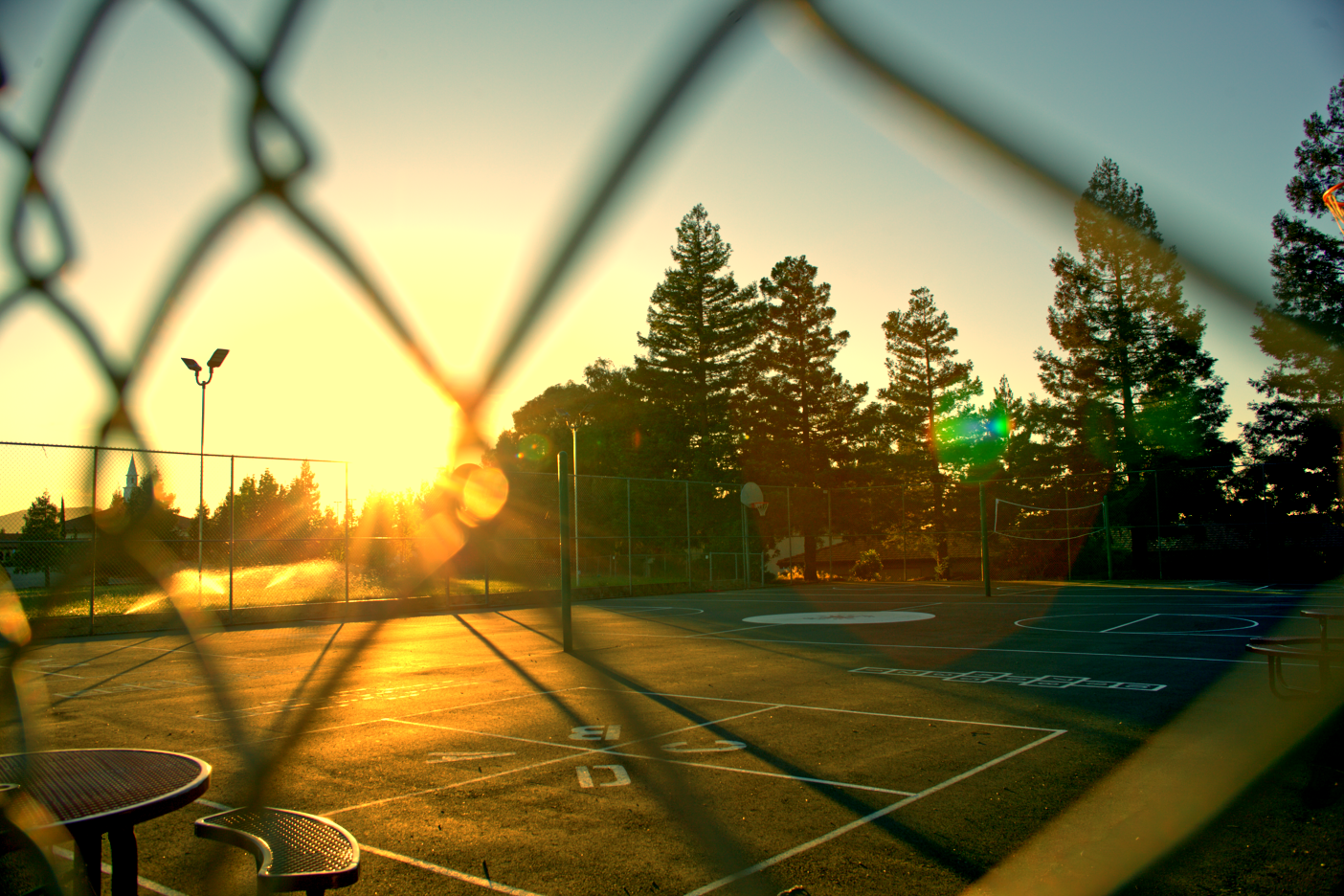 LOWRES-SCHOLHILLTP - 046