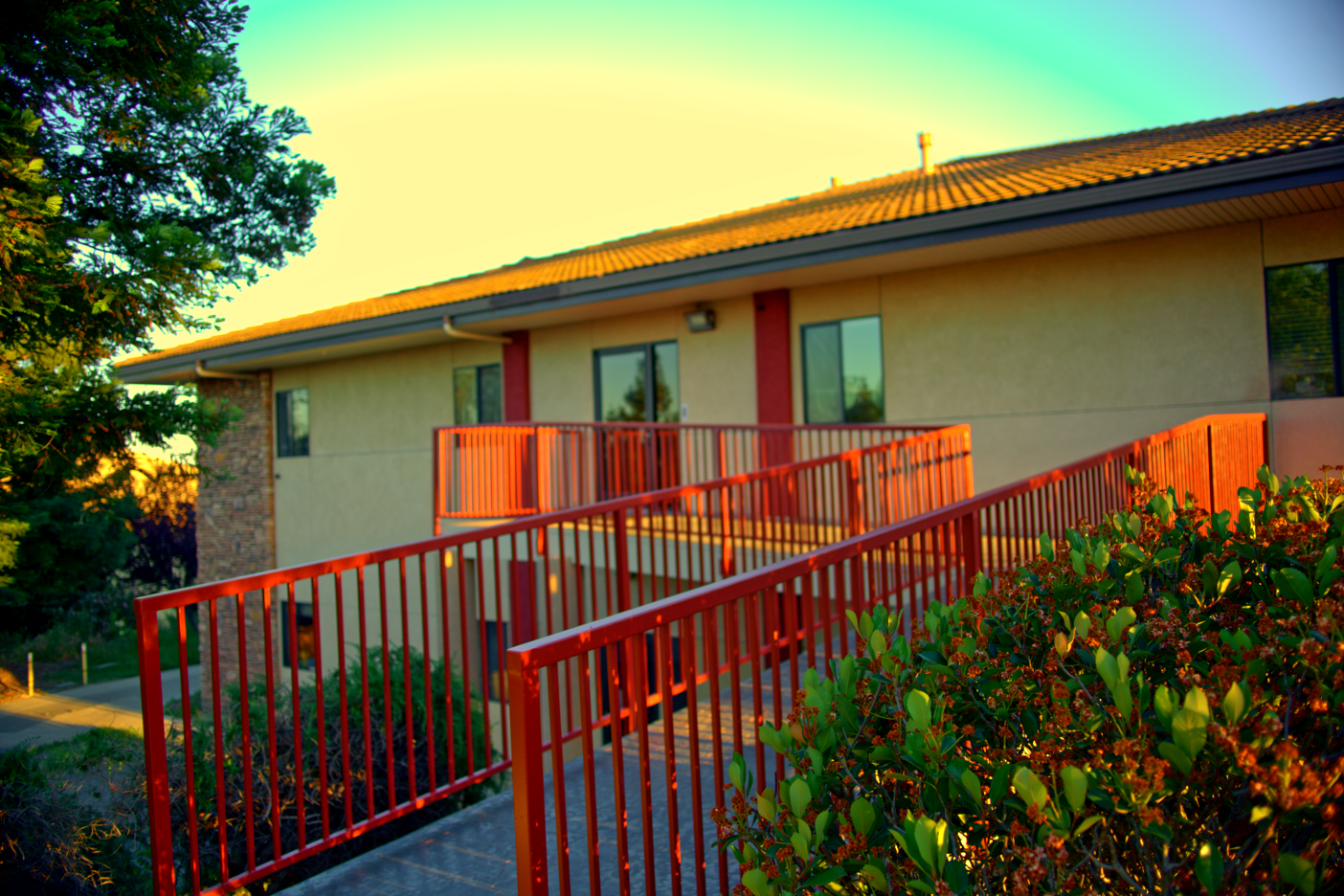 LOWRES-SCHOLHILLTP - 049