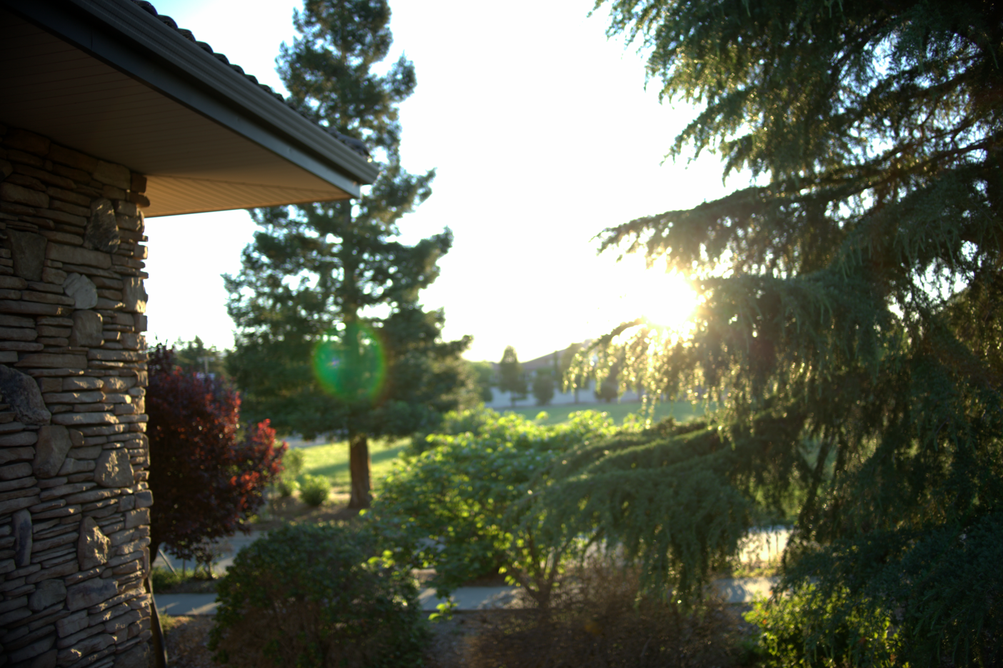 LOWRES-SCHOLHILLTP - 052