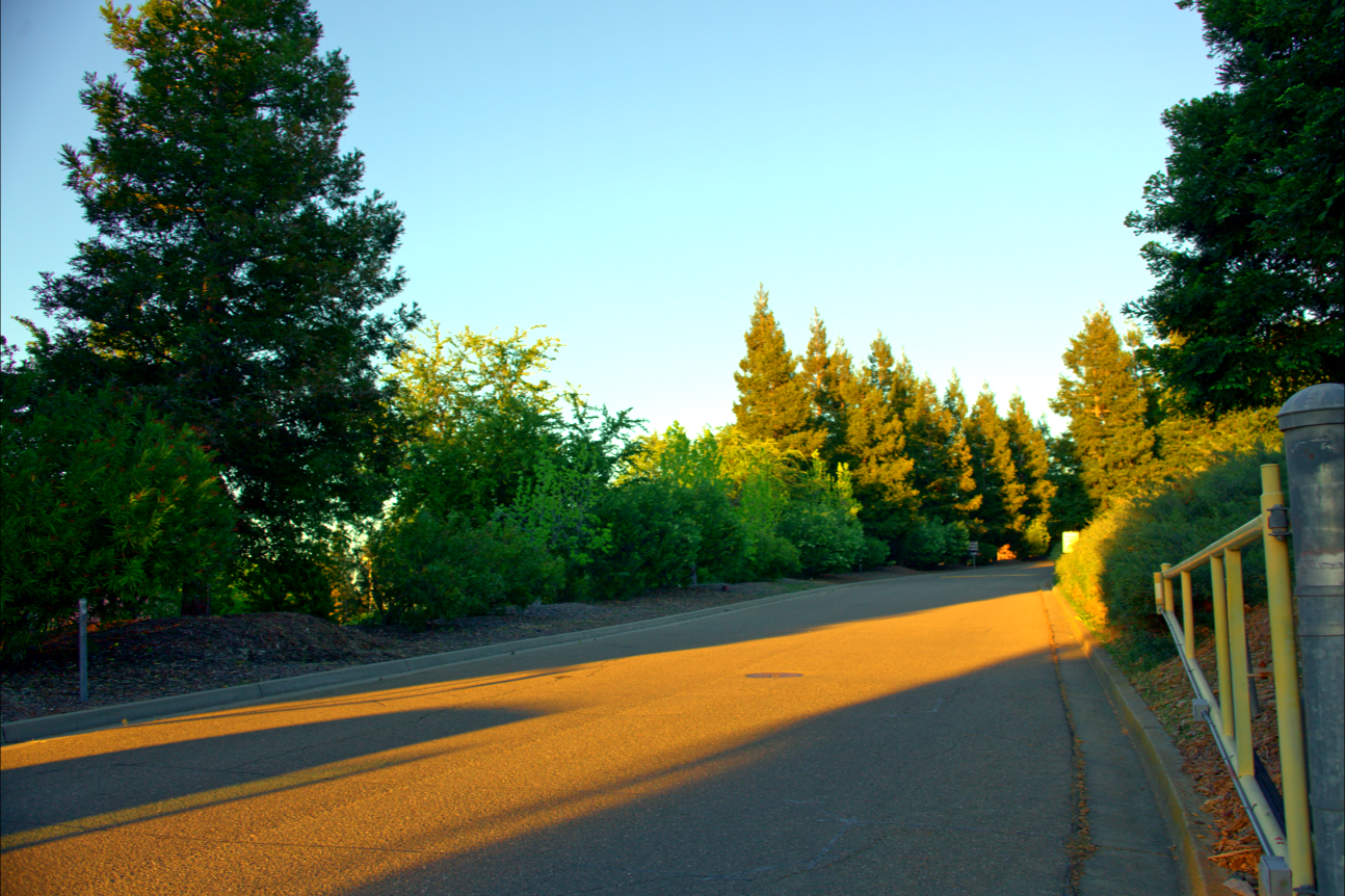 LOWRES-SCHOLHILLTP - 059